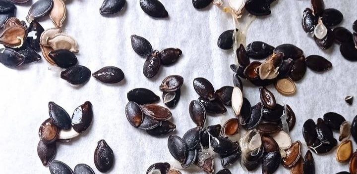 Extracción de semillas